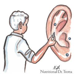 Acupuncture auriculaire par le Dr Pascal Trotta. dessin de Ntahalie Fourmy pour le dr trotta